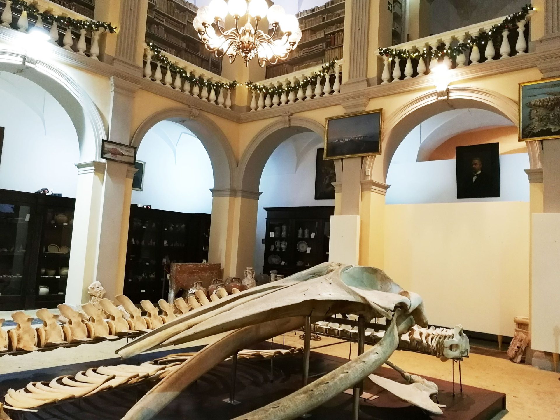 Emanuele Barba's Museum, Gallipoli (2).jpeg